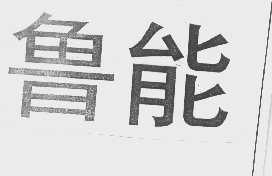 鲁能