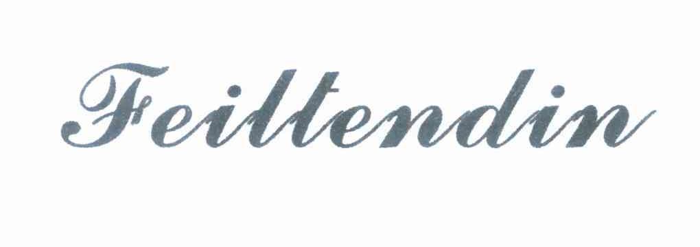 FEILTENDIN