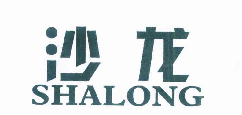 沙龙