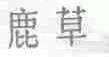 鹿草
