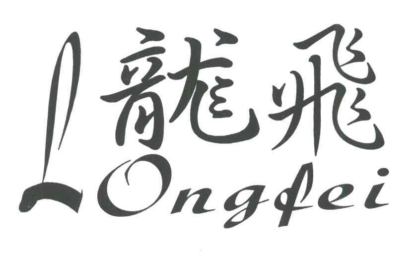 龙飞