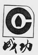 成功