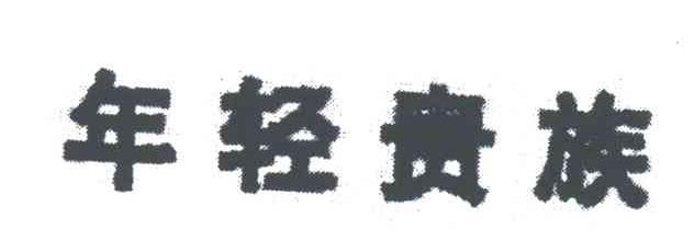 年轻贵族