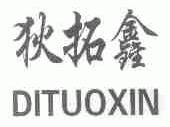 狄拓鑫
