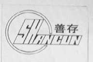 善存