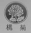 榄菊