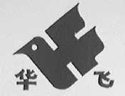 华飞