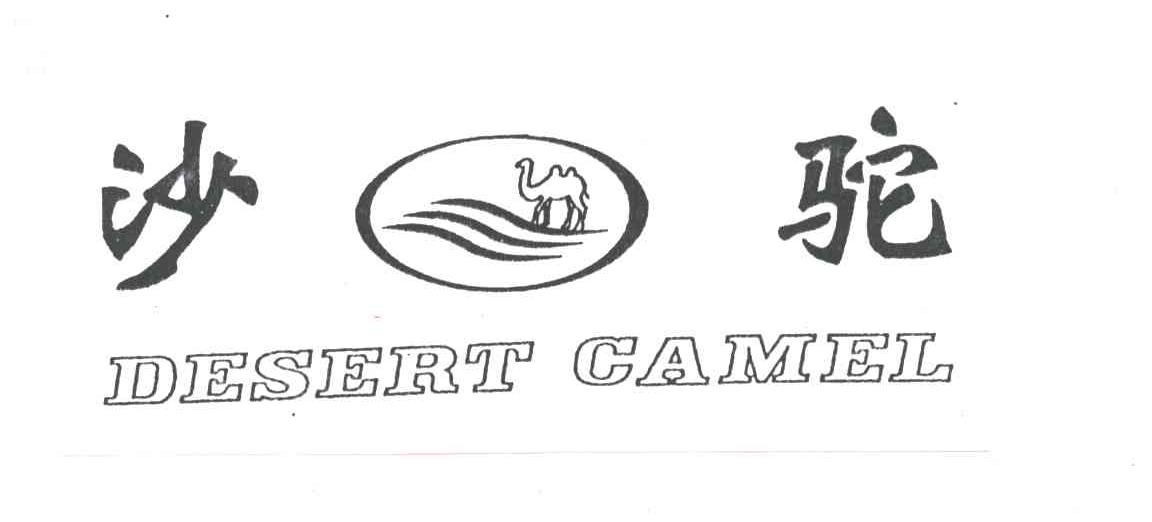 沙驼;DESERT CAMEL