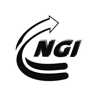NGI