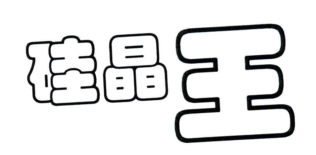 硅晶王