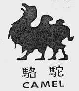 骆驼;CAMEL