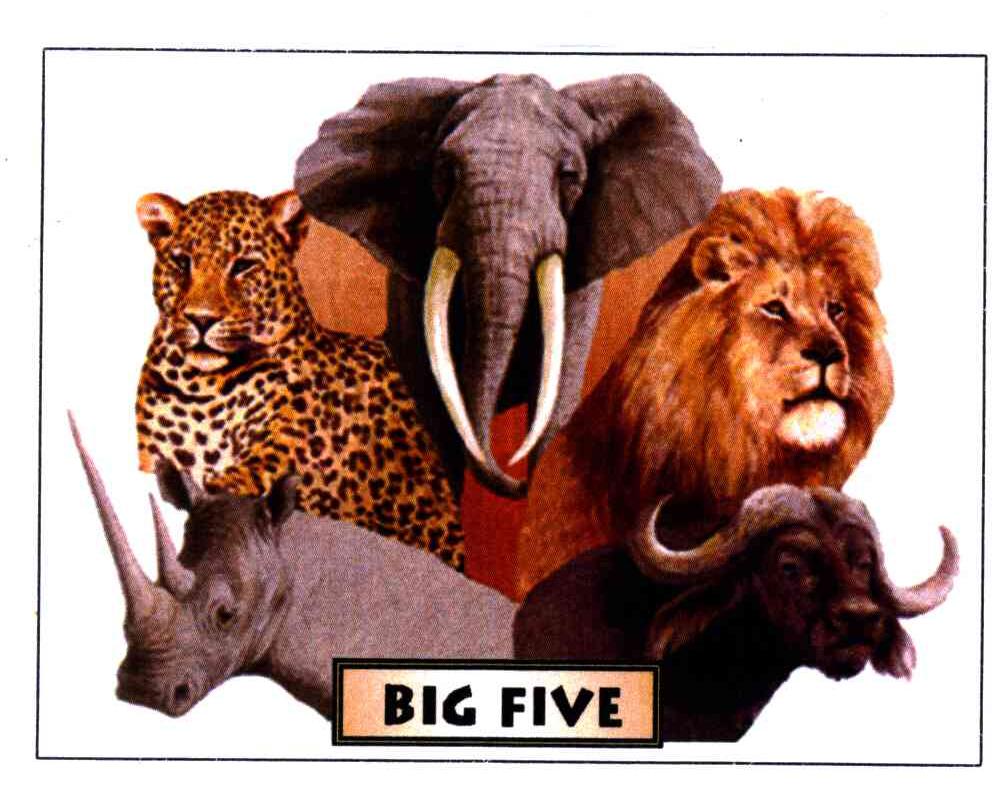 BIG FIVE