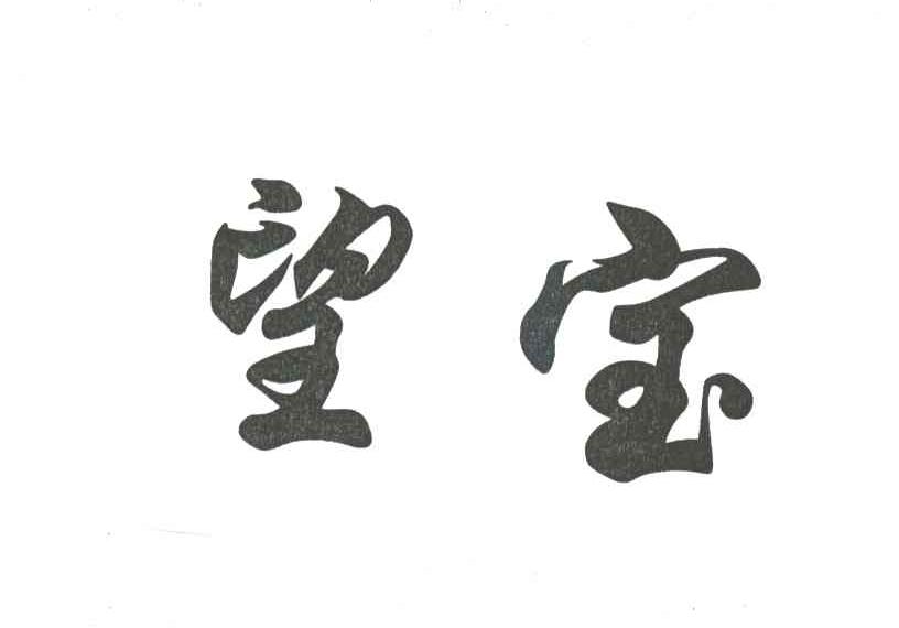 望宝