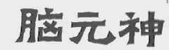 脑元神
