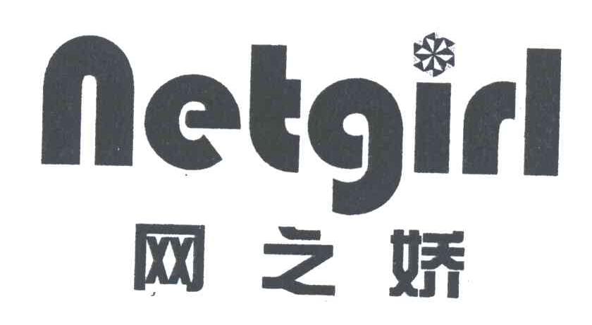 网之娇;NETGIRL