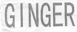 GINGER