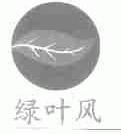 绿叶风