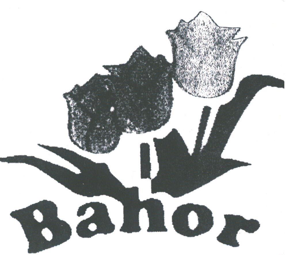 BAHOR