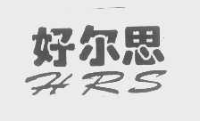 好尔思   HRS