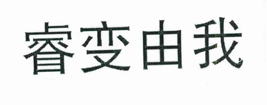 睿变由我