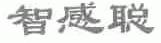 智感聪