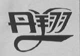 丹翔