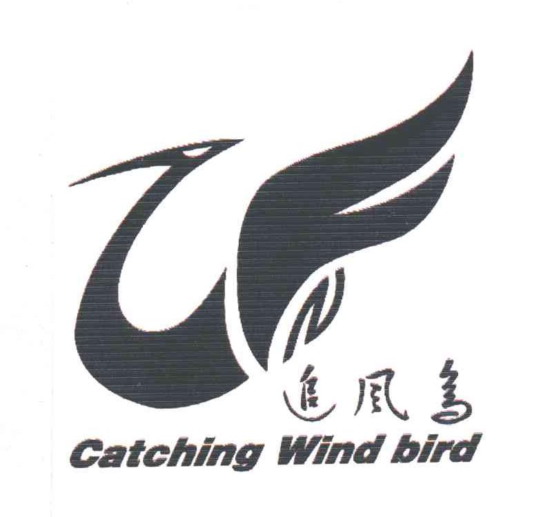 追风鸟