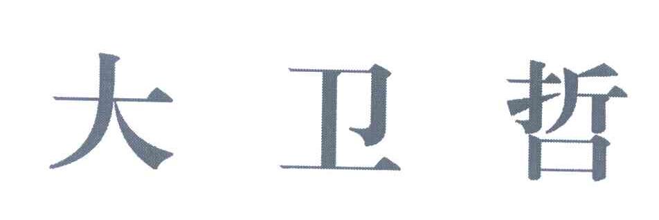 大卫哲