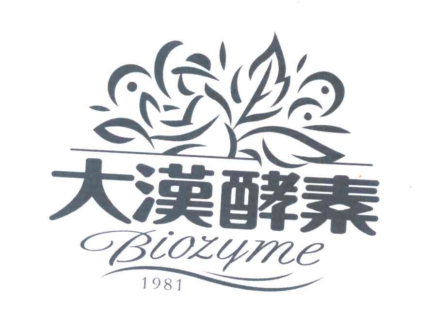 大汉酵素 BIOZYME 1981