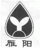 雁阳