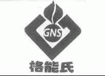 格能氏;GNS