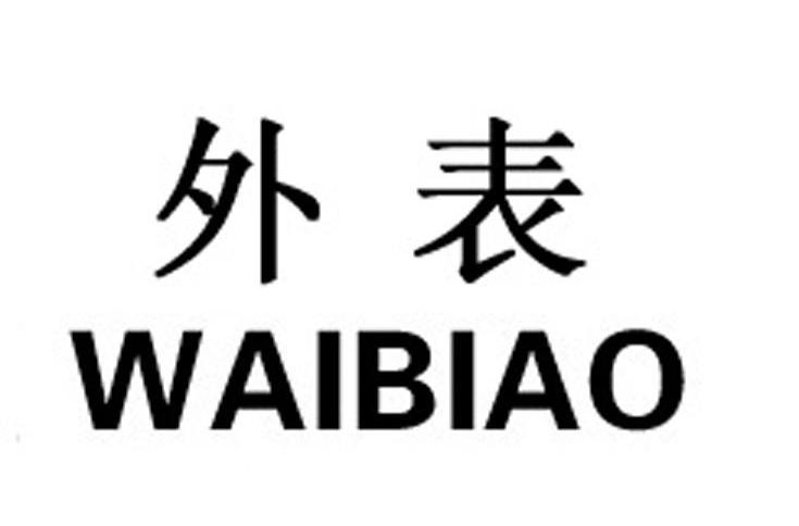 外表
