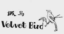 绒鸟;VELVET BIRD