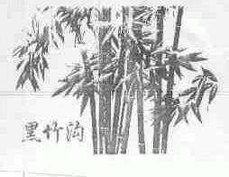 黑竹沟