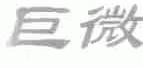 巨微