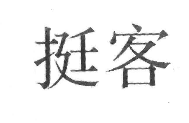 挺客