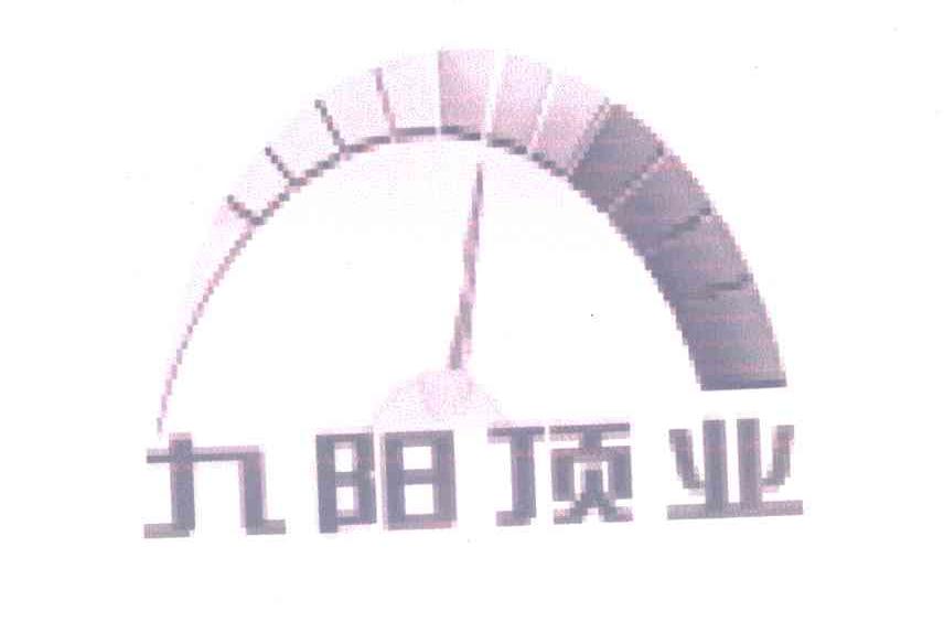 九阳顶业