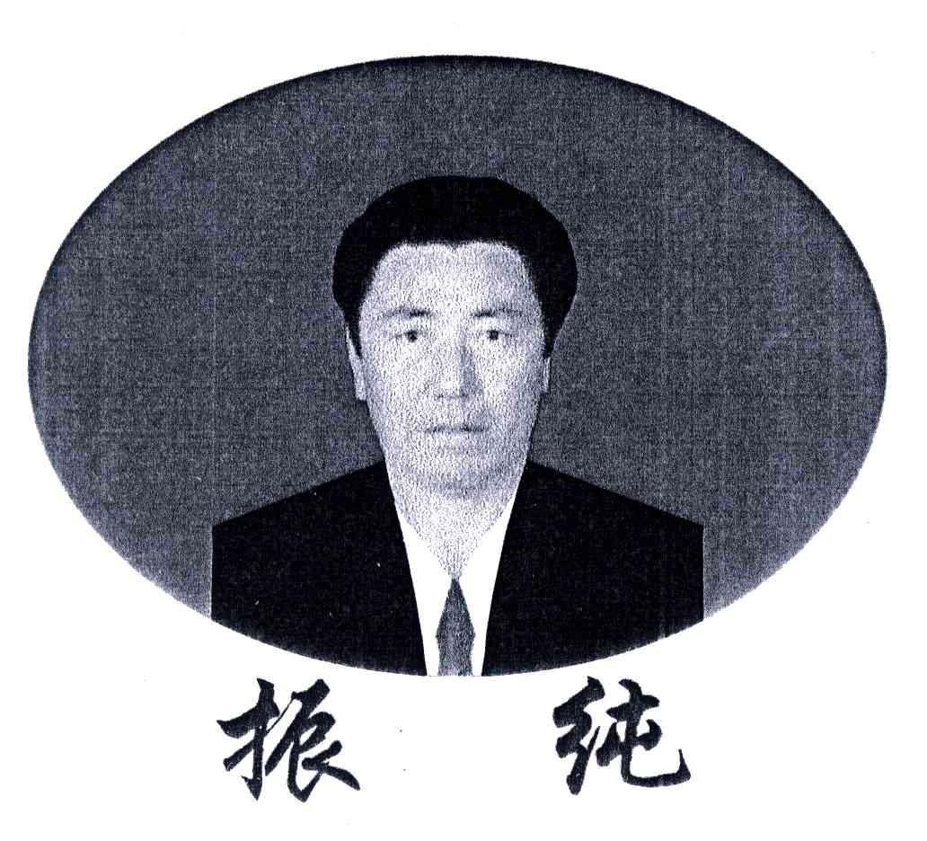 振纯