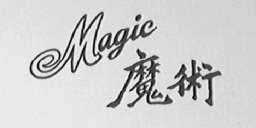 魔术
