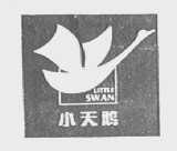 小天鹅    LITTLE SWAN