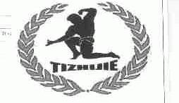 TIZHIJIE