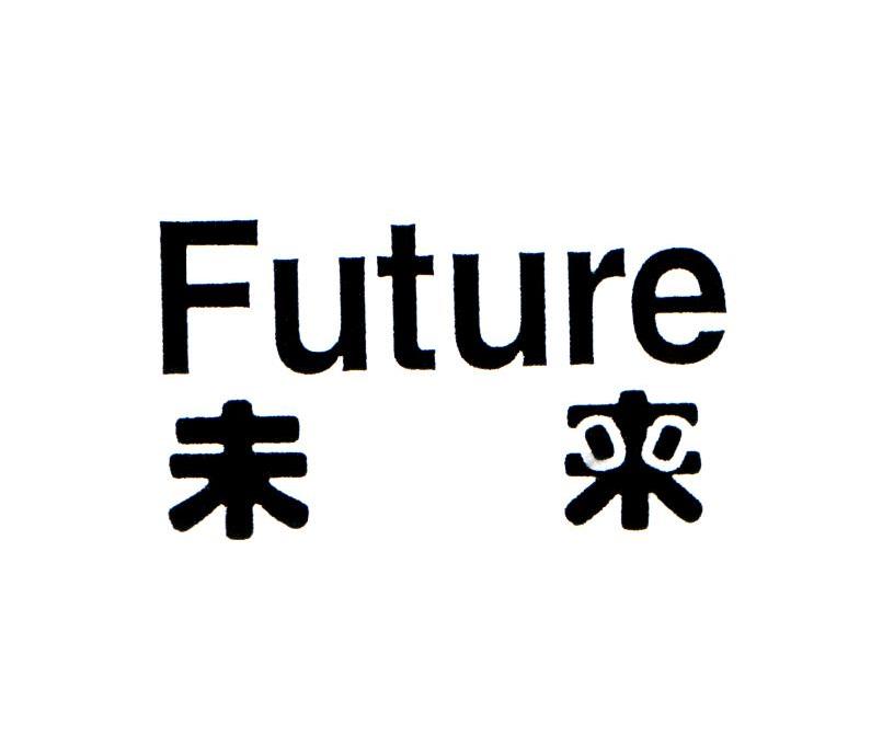 未来 FUTURE