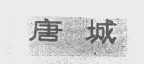 唐城