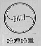 哈哩哈里  HALI