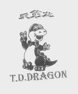 天第龙   T.D.DRAGON