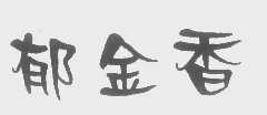 郁金香