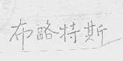 布路特斯