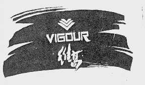 维高   VIGOUR