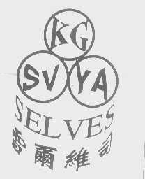 雪尔维司 KGSVYA SELVES