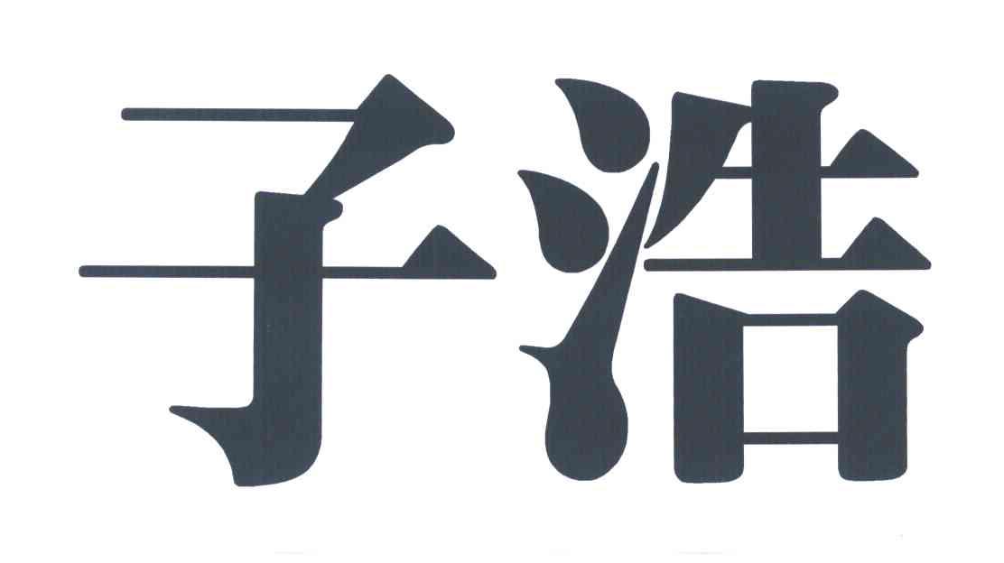 子浩